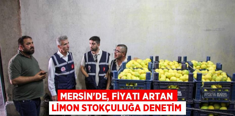 MERSİN’DE, FİYATI ARTAN LİMON STOKÇULUĞA DENETİM