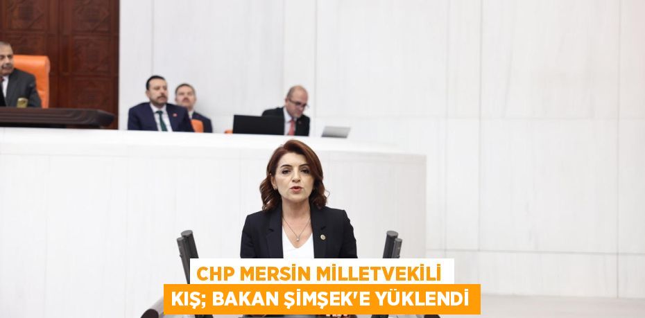 CHP MERSİN MİLLETVEKİLİ KIŞ; BAKAN ŞİMŞEK’E YÜKLENDİ