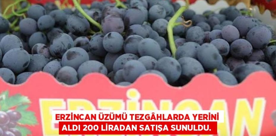 ERZİNCAN ÜZÜMÜ TEZGÂHLARDA YERİNİ ALDI 200 LİRADAN SATIŞA SUNULDU.